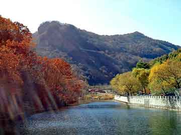 新澳天天开奖资料大全旅游团，打空调洞